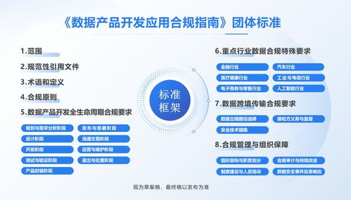 全國首部數(shù)據(jù)產(chǎn)品開發(fā)應(yīng)用合規(guī)標準即將出臺，信息技術(shù)咨詢服務(wù)助力企業(yè)合規(guī)轉(zhuǎn)型